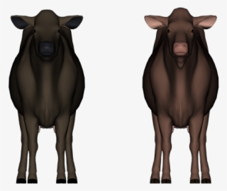 Daz Cow Share And Learn Thread - Bull