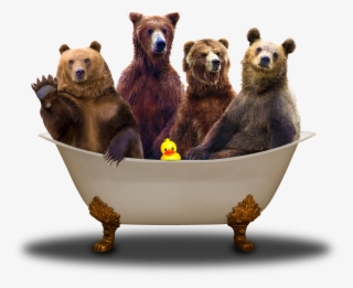 Bears In Bath Fin - Bears In A Bath