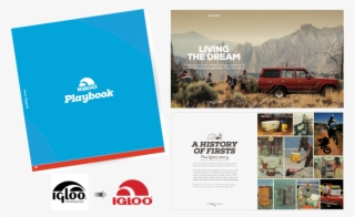 Freeskier - Flyer