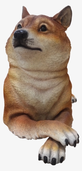 Doge - Hokkaido
