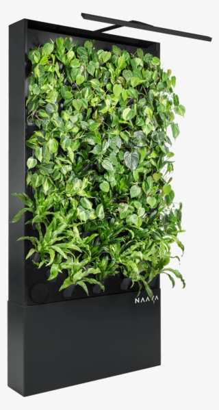 Naava One Slim Graphite Black Oblique Vertical Garden - Houseplant