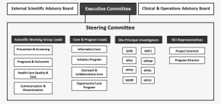 Graphic Of The Crn Organizational Chart - Steering Committee Org Chart