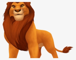 Lion Cartoon Image