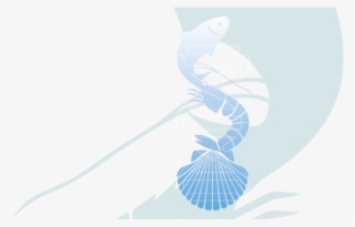 Bio-rad Vibrio - Illustration