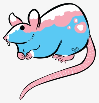 The Trans Rat Design In Its Transparency Form