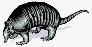Vector Illustration Of Fully Armored Armadillo With