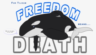 Orca Clipart Sad
