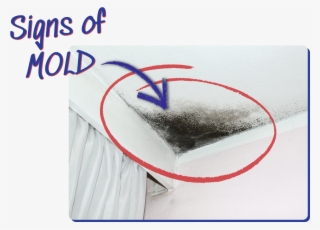 Signs Of Mold Example - Sketch