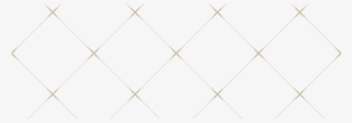Hex - Paper Product