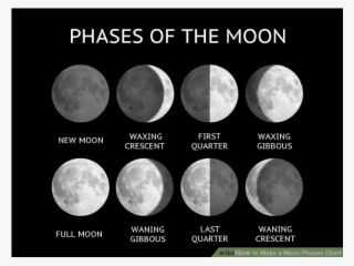 Phases 2048 2048 - 3rd Grade Moon Phases Quiz