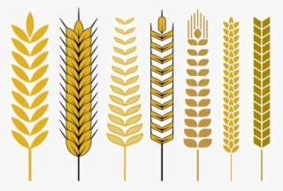 Cereal Vector Png Free