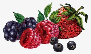 Berry Png - Mixed Berry