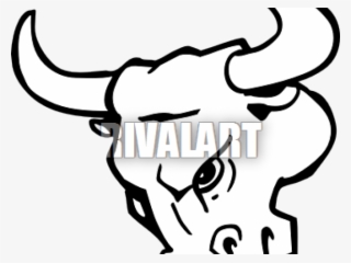 Drawn Bulls Bull's Head - Bull Mascot
