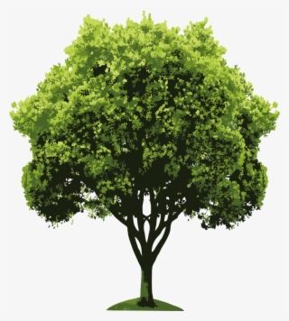 Descarregar - Tree Rendering