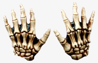 600 X 600 1 - Skull Hands Png