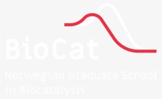 The Biocat Logo - Graphic Design