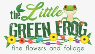 Welcome To The Little Green Frog Fine Flowers And Foliage - African Daisy