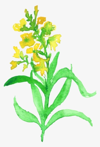 Yellow Edged Petals Transparent Decorative