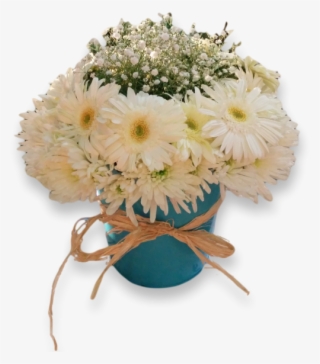 Send Flowers To Jordan - Barberton Daisy
