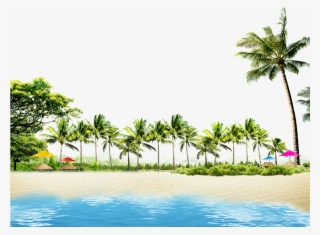 Beach With Coconut Palms And Summer Huts - Coconut Tree Border Png