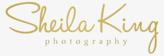 Sheila King Photography - Lillstreet Art Center