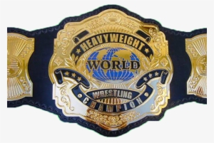 Dfw Championship Transparent - Wrestling Championship Belts Render