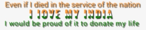 Indian Independence Day Png - Orange
