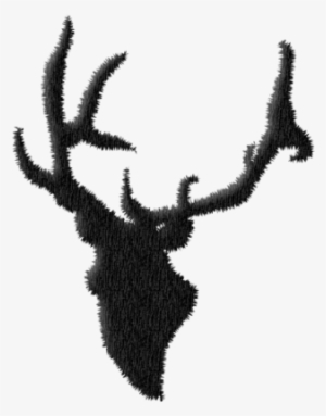 Reindeer