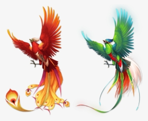secrets of the phoenix - tranh vẽ phượng hoàng