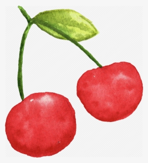 Cherry, Cuisine, Food, Fruit, Fruits, Watercolor, Watercolors - Cherry Watercolor Png