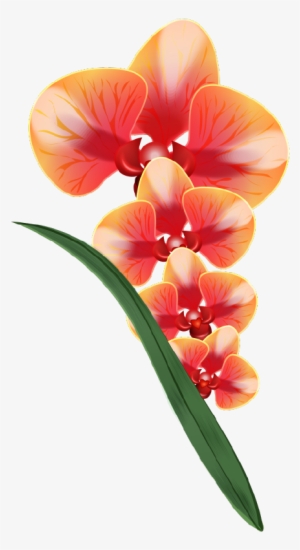 Png Клипарт "realistic Vector Delicate Orchids" - Clip Art