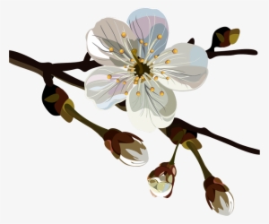 Png Клипарт "spring Floral" - Plum Blossom