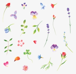 These Tiny Flowers By Jess Chen Have Completely Won - Tattly