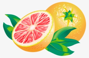 Grapefruit Clipart Transparent - Grape