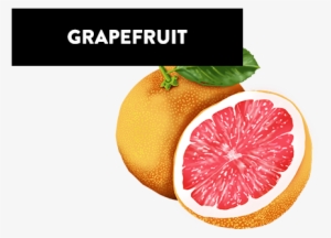 Grapefruit - Arte Fiera