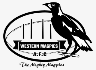 Western Png - Sherwood Magpies