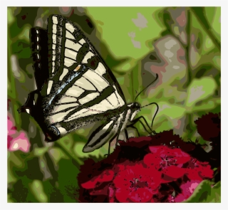 This Free Icons Png Design Of Western Tiger Swallowtail