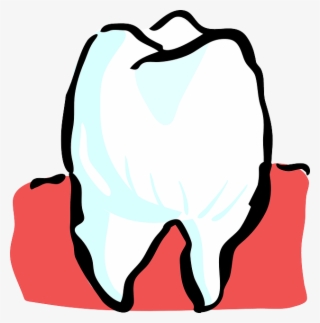 Healing Brushing Teeth Clipart - Tooth Parts Of The Body