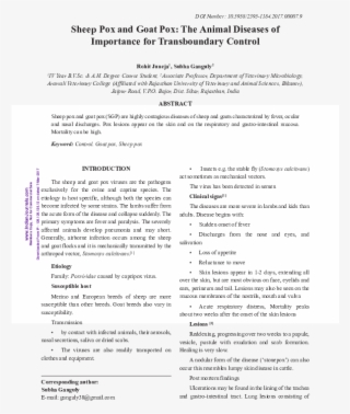 Pdf - Document