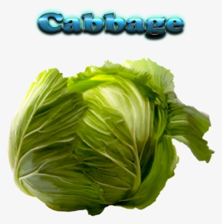 Cabbage Free Download Png - Cabbage With Name