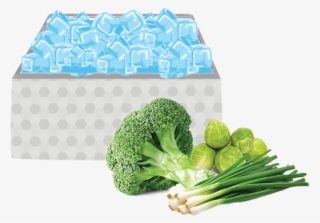 Suitable Vegetables Broccoli, Carrots, Chinese Cabbage, - Ice Cooling Of Fruits And Vegetables