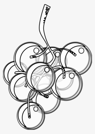 Grape Clipart Graphic - Grapes Png Sketch
