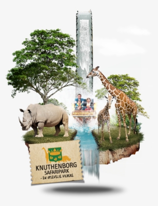 Besøg Knuthenborg Safaripark I Nærheden Af Bonbon-land - Knuthenborg Safaripark