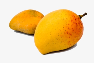 Super Charge Fat Burning And Weight Loss - Mango