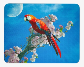 Mouse Pad Red Parrot - Macaw