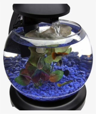 Glob Aquarium Fish Tank Png Transparent Image - Aquarium Design