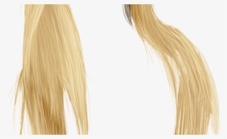 15 Anime Girl Hair Png For Free Download On Mbtskoudsalg - Blond  Transparent PNG - 800x491 - Free Download on NicePNG