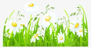 Free Png Download White Flowers And Grass Transparent - Grass Clipart