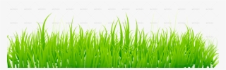 Conceptual Vectors - Green Grass White Background