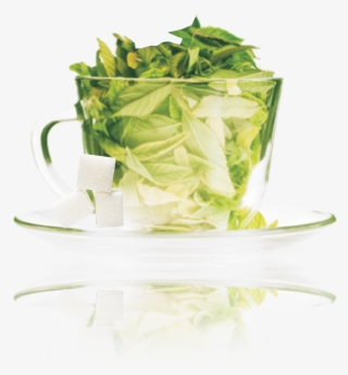 Stevia Green Tea
